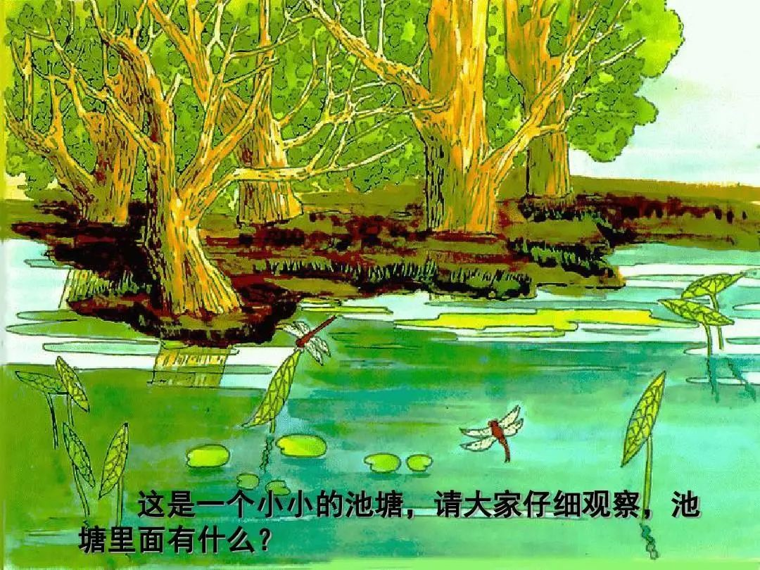 中班语言领域活动 |《小池》中华民族文化从娃娃开始传承-幼师课件网第6张图片