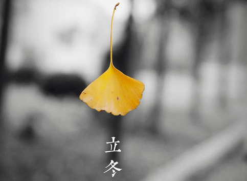 立冬啦！主题活动方案你准备好了吗？-幼师课件网第3张图片