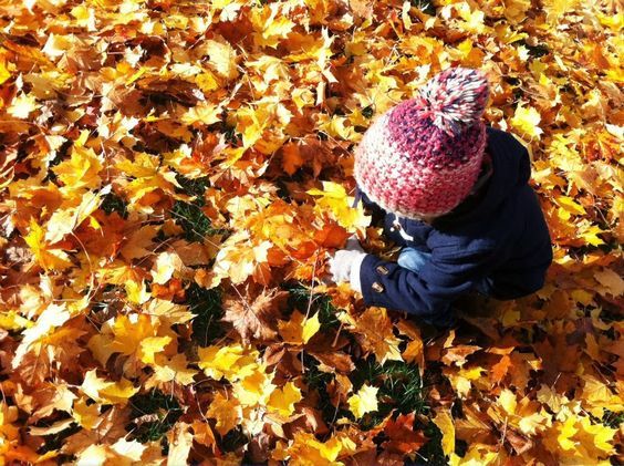 树叶游戏 | 听说机智的幼师，在孩子玩树叶时会问这些问题…-幼师课件网第22张图片