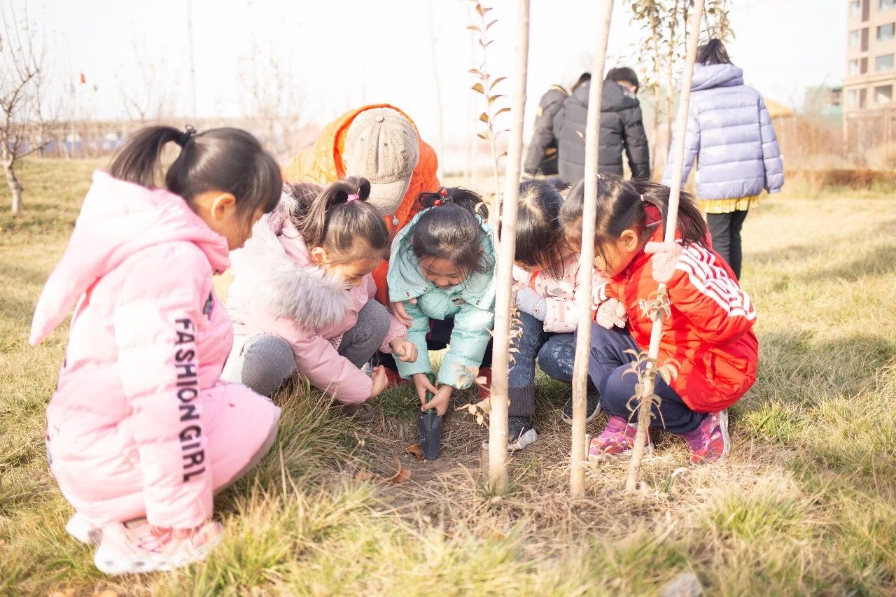 植树节活动 | 与孩子们一起将环保进行到底！-幼师课件网第14张图片