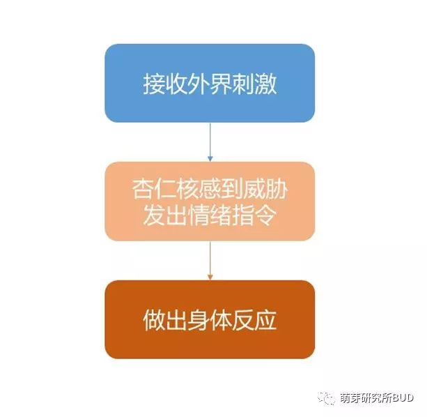 为啥小班孩子经常控几不住他记几？原来他们大脑跟我们不一样！-幼师课件网第6张图片