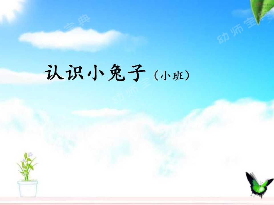 小班科学教案——认识小兔子-幼师课件网第3张图片
