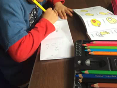 科学小实验——小鸡转身-幼师课件网