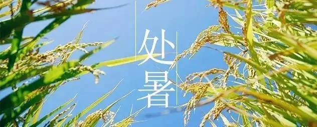 二十四节气第14节 | 处暑：一半是海水，一半是火焰-幼师课件网第1张图片