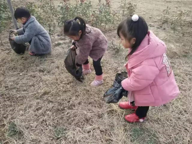 植树节活动 | 与孩子们一起将环保进行到底！-幼师课件网第10张图片