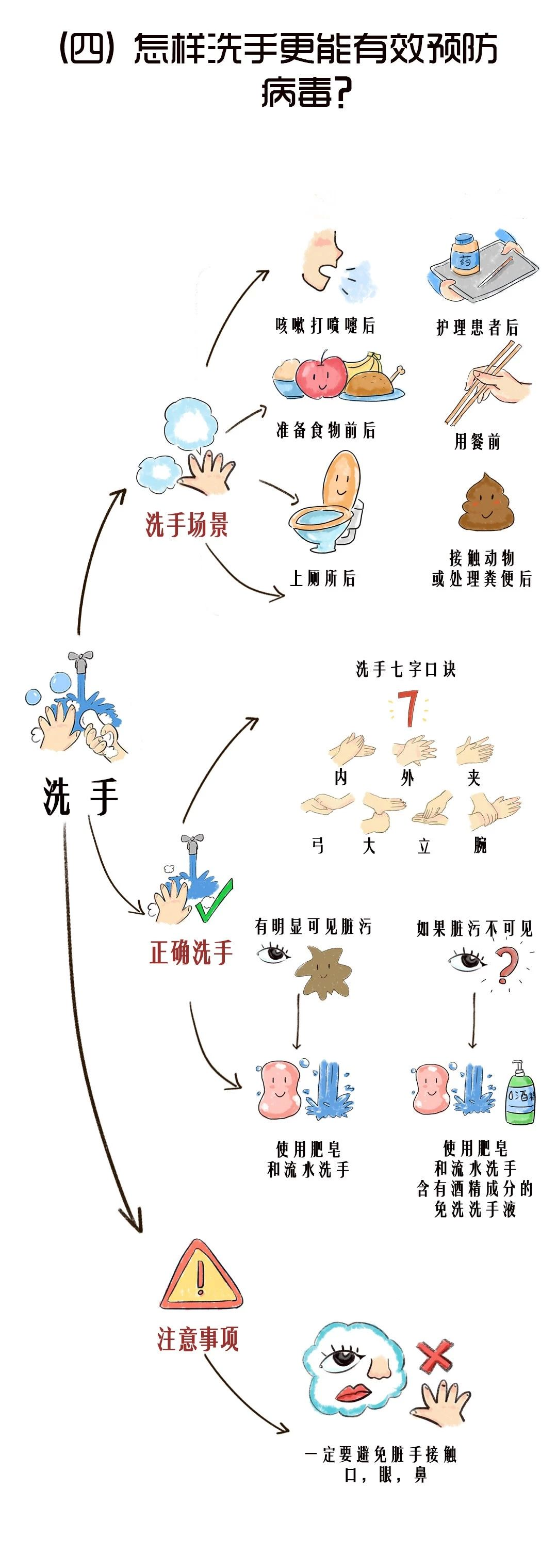 图说｜新型冠状病毒，家长和小朋友应该了解的那些事儿-幼师课件网第4张图片