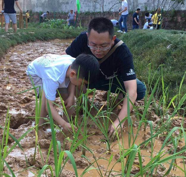 芒种节气活动 | 11个有趣的活动，带你走进忙碌的节气里-幼师课件网第27张图片