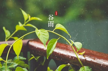 谷雨 | 谷雨时节，养生就该从娃娃抓起！-幼师课件网第4张图片