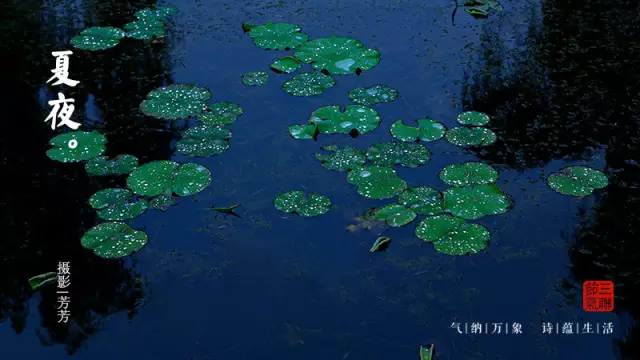 二十四节气第十节 | 夏至：映日荷花别样红，吃碗凉面早点睡-幼师课件网第32张图片