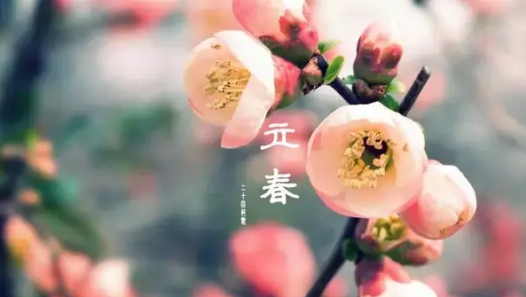 二十四节气 | 立春，天下雷行而育万物-幼师课件网第35张图片