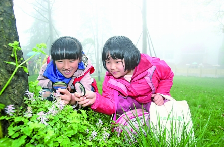 小满节气 | 家庭亲子活动-幼师课件网第5张图片