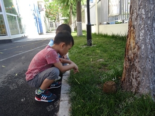 小班艺术活动《可爱的小蜗牛》-幼师课件网