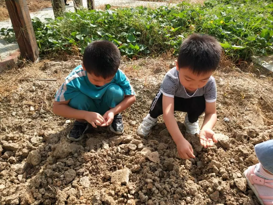 寒露节气活动 | 这8个有趣的节气活动，带你走进寒露的美-幼师课件网第23张图片