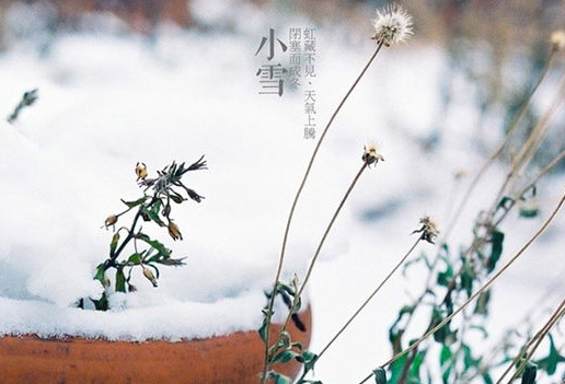 二十四节气 | 小雪篇-幼师课件网第2张图片