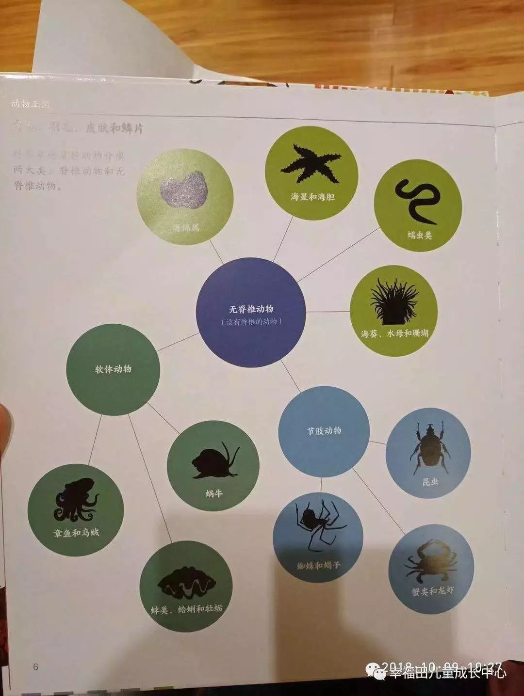 主题活动 | 孩子们的蚯蚓探究日记-幼师课件网第11张图片