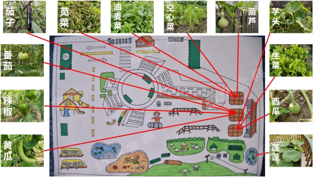 探索本土资源园本的教研，以"农作物资源的有效开发与利用"为例-幼师课件网第5张图片