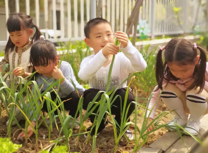 春季主题活动 | 玩转春天 ，你需要get这些活动！-幼师课件网第39张图片