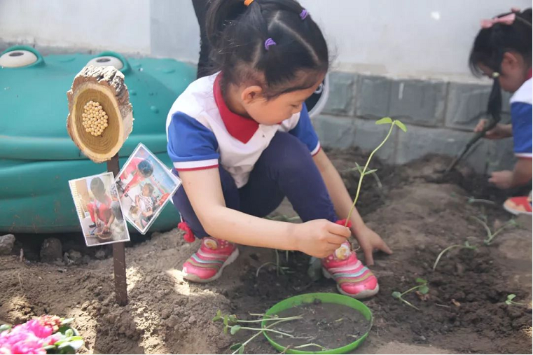 名家杂谈 | 幼儿园环境要见儿童见思想-幼师课件网第4张图片