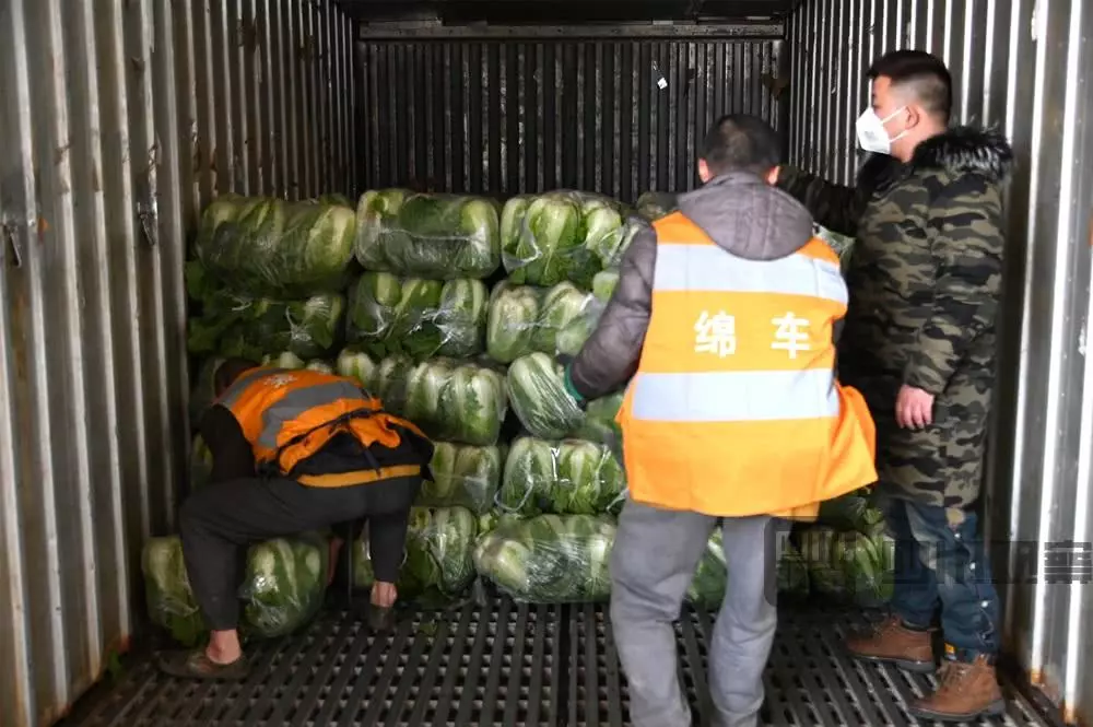 大班社会教案 | 《与新型冠状病毒战斗的人们》-幼师课件网第11张图片