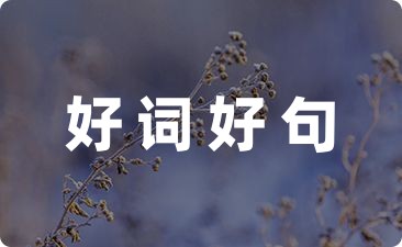 一年级课外阅读好词好句随笔汇编6篇-幼师课件网第1张图片