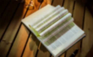 倡导亲子共读营造书香家庭心得体会汇总8篇-幼师课件网第1张图片